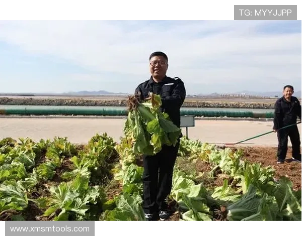 广州足球队崛起之路全国锦标赛特别报道见证成长与辉煌